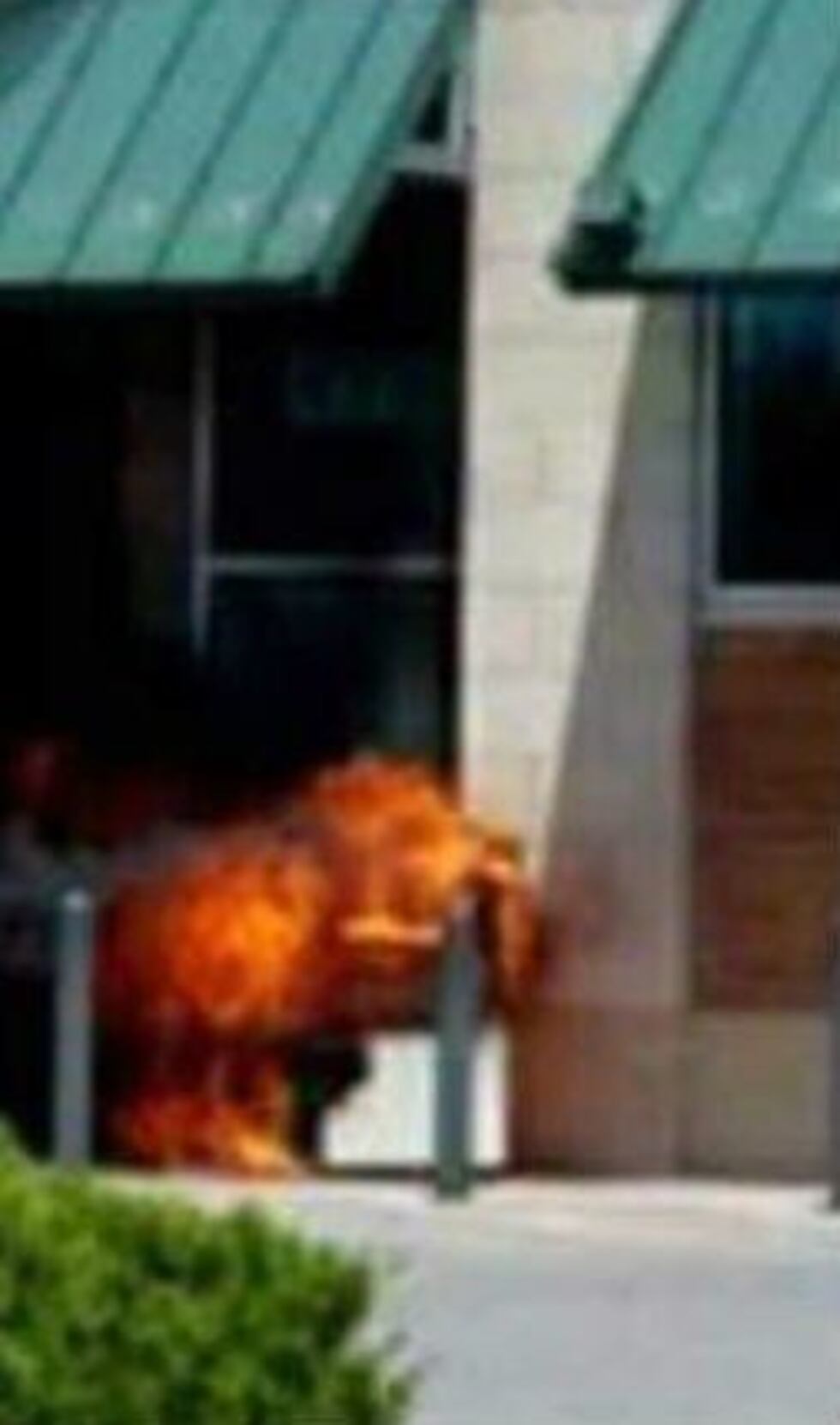 The fire started in a trash can in the front of the store. (Source: Lisa Thompson, Harrisburg...