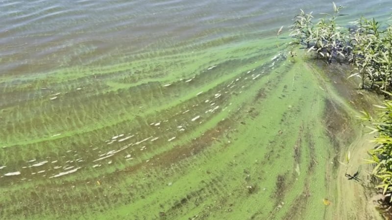 Researchers at Southern Illinois University Carbondale received funding for their work on a...