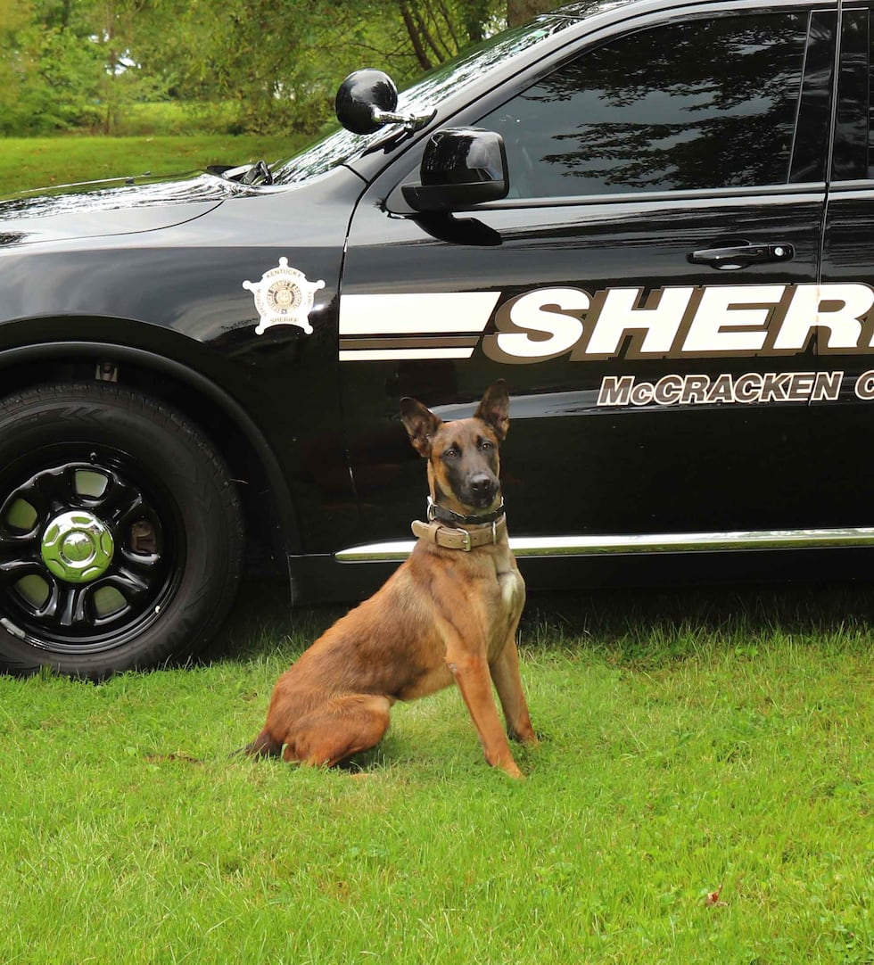 K9 Vegas is a working member of the McCracken County Sheriff's Office. His partner is Cpl....
