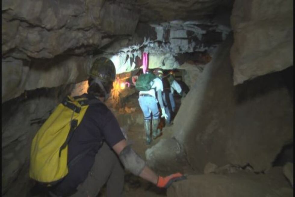 Cavers say the scenarios covered in the training were all too real.