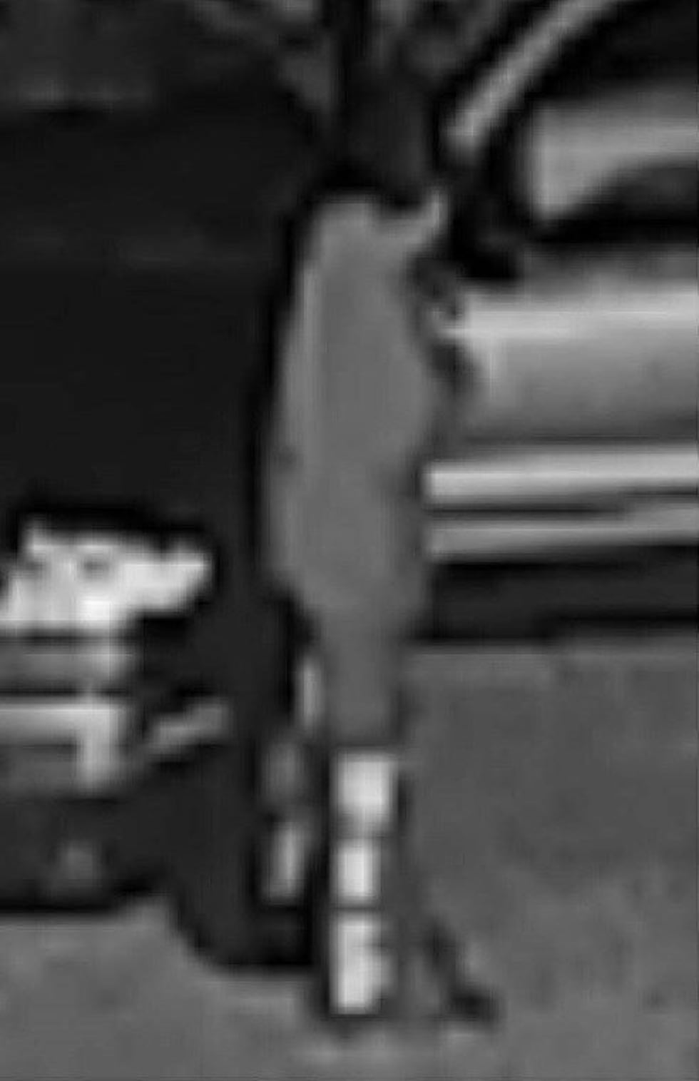 (Source: Cape Girardeau County Sheriff's Office)