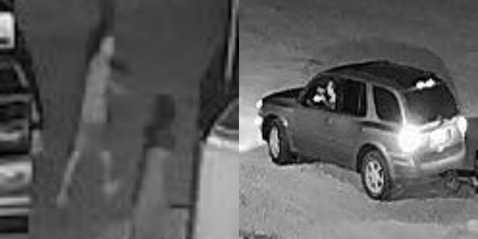(Source: Cape Girardeau County Sheriff's Office)