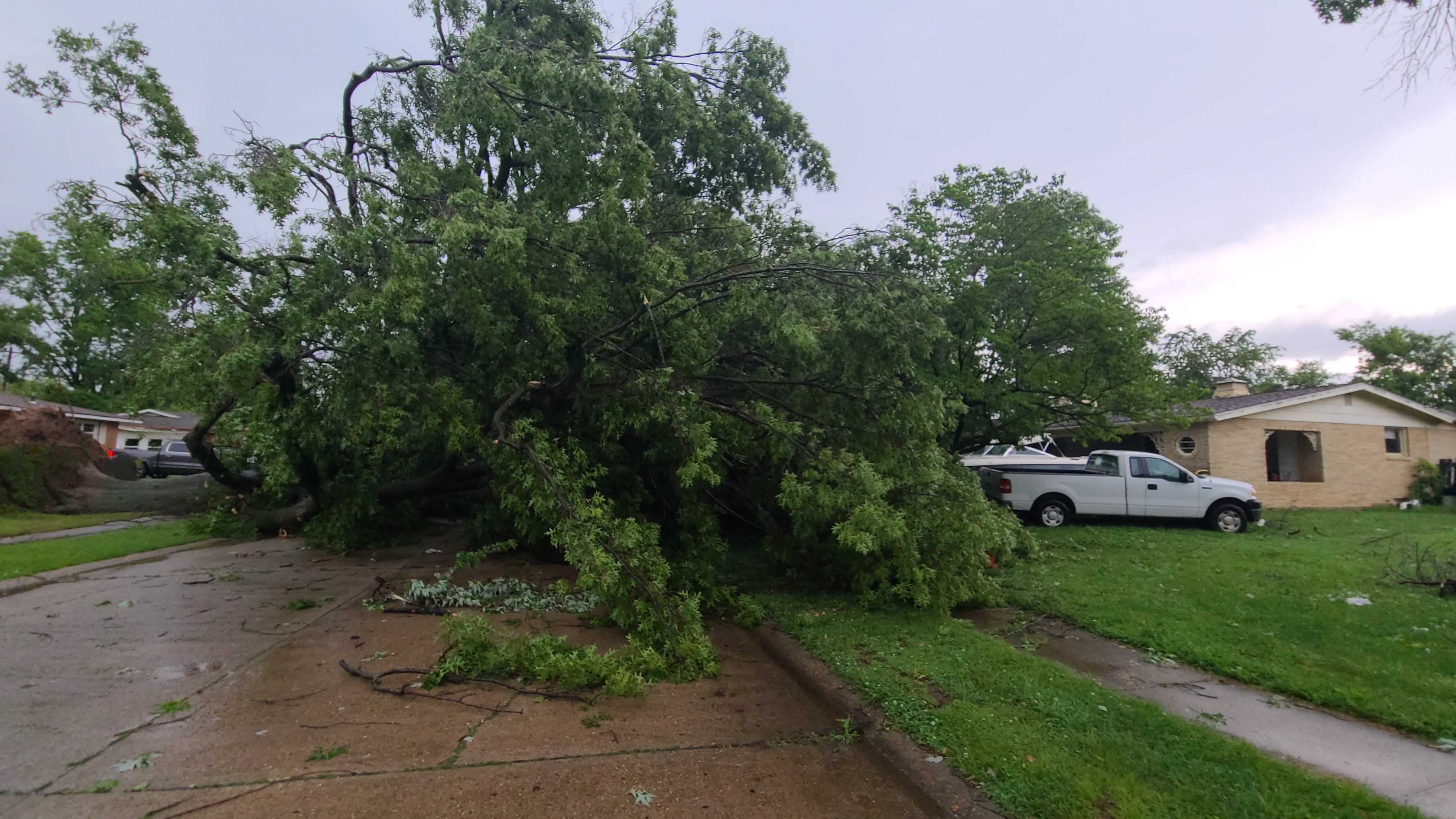 Red Cross opens shelter in Sikeston following storms - Vimarsana News