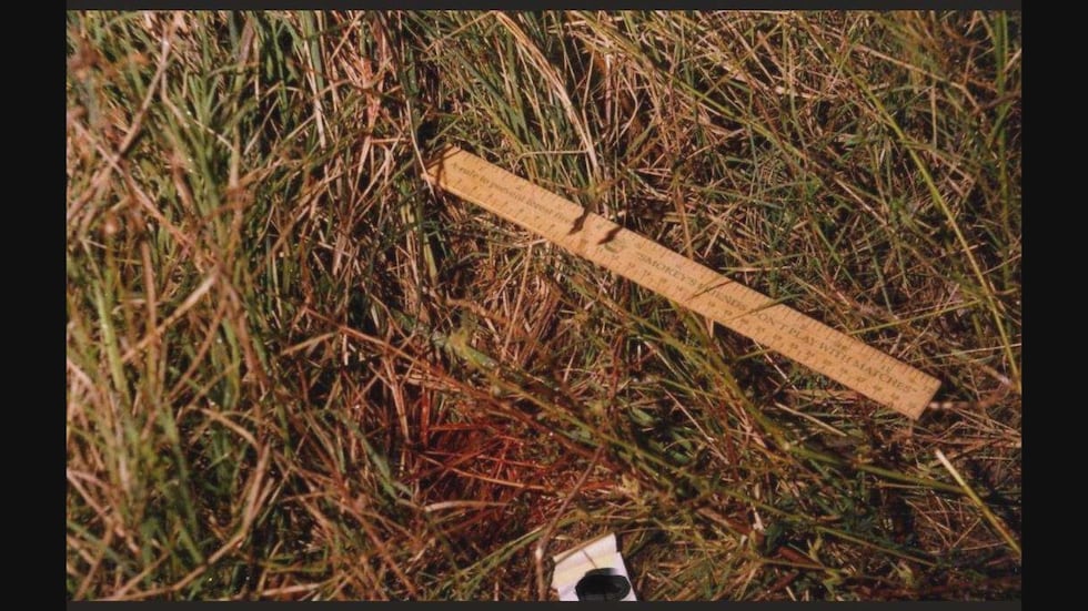 Blood found on the grass below Lawless' car.