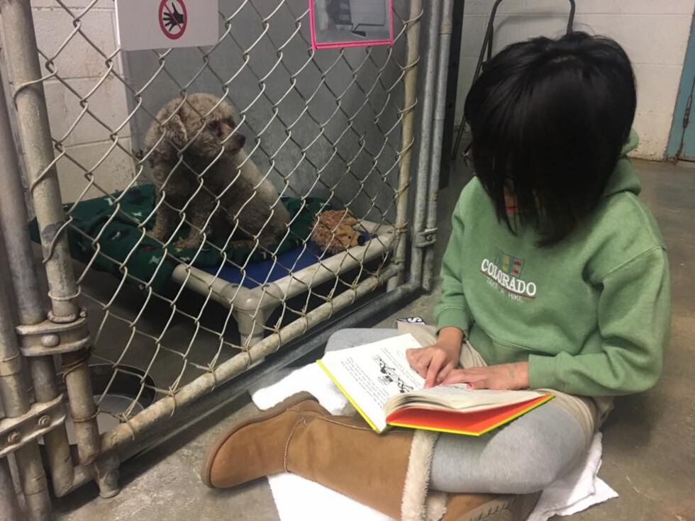 Once a week right after school the doors of the Humane Society of Southeast Missouri open, and...