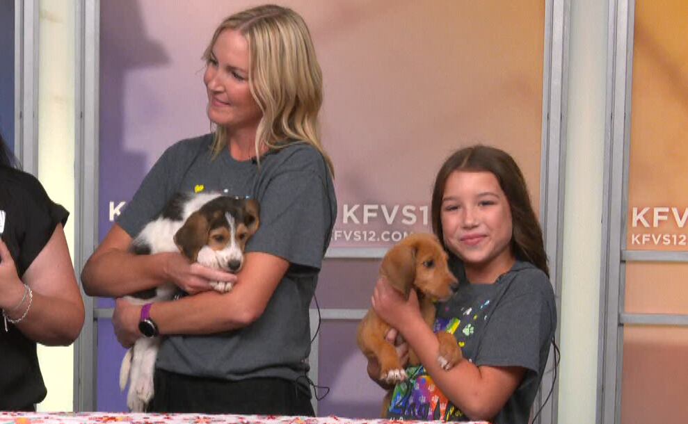 SEMO Pets hosts volunteer training - Vimarsana News