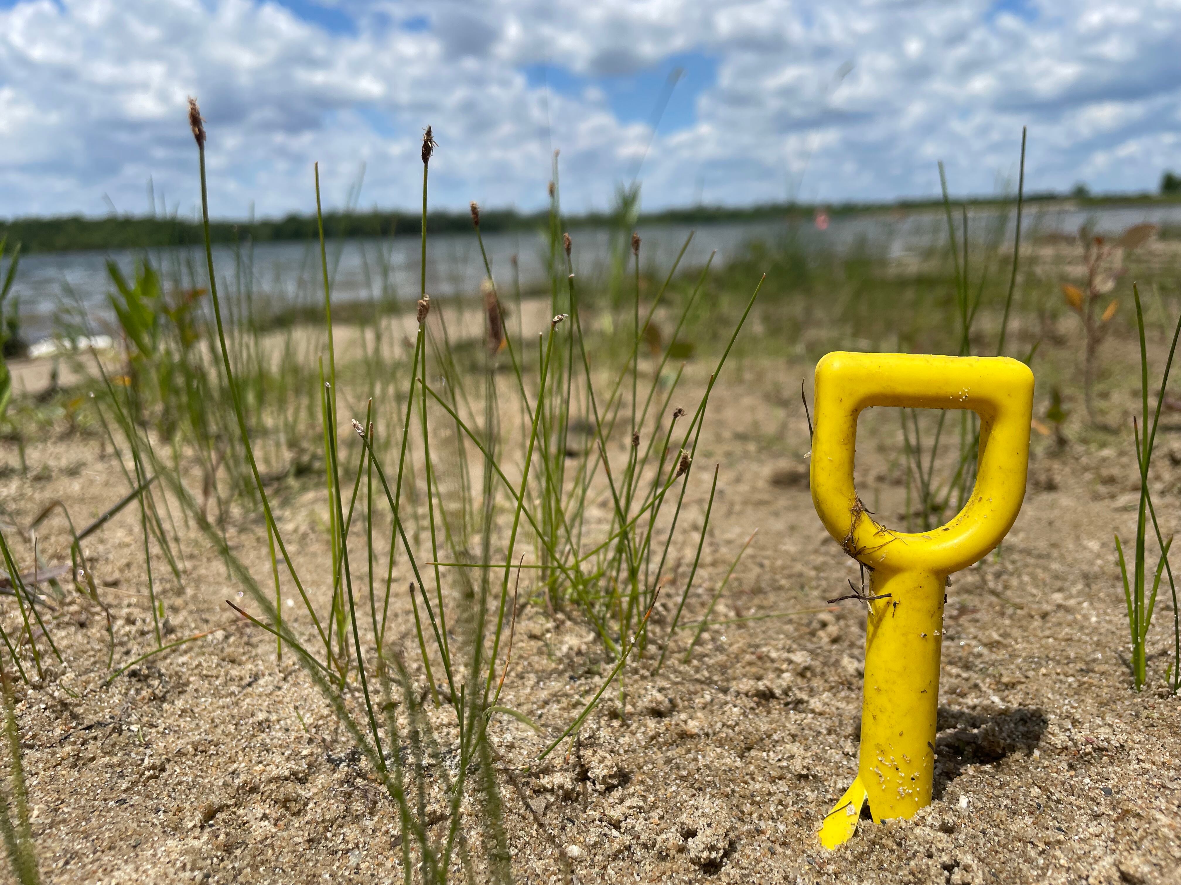 Questions remain after newborn's body found at Maryville lake, but one thing is certain - Vimarsana News